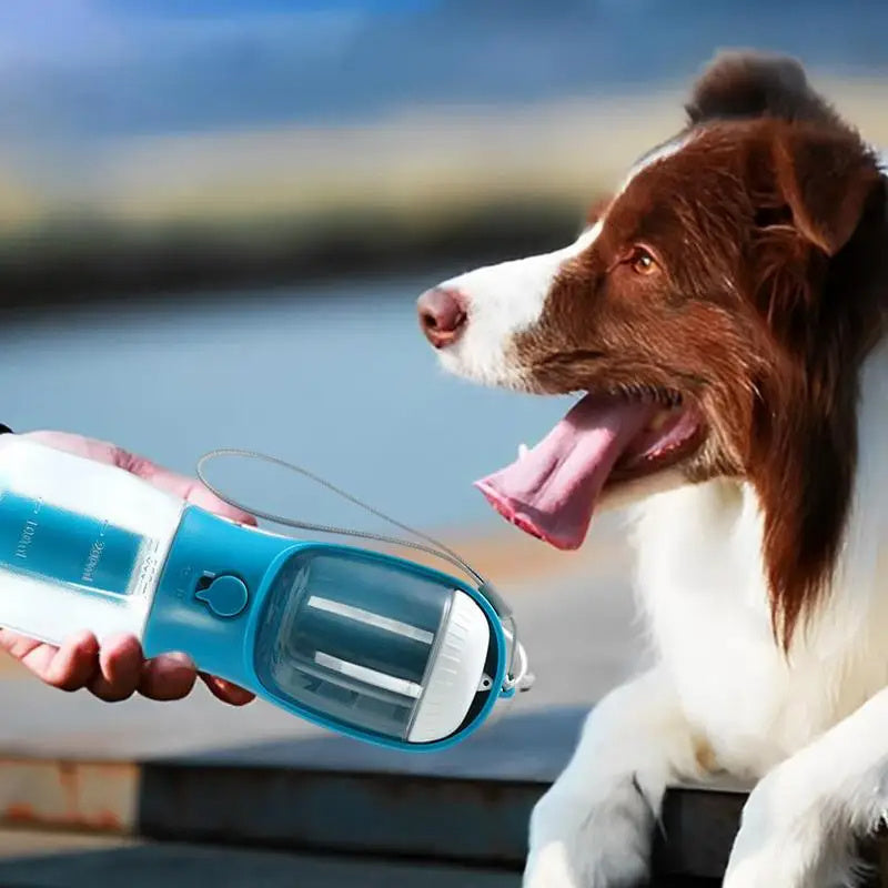 Garrafa Portátil 3 em 1 para Cães – Água, Comida e Sacos